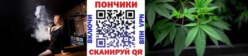 Купить закладку АМФ  Псилоцибиновые грибы  ГАШ  Меф  Конопля  Альфа ПВП  Светлогорск
