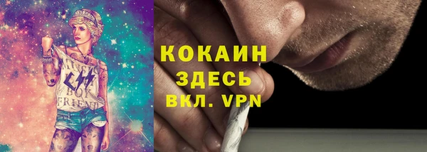 дмт Костерёво