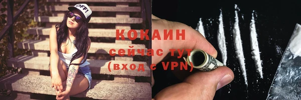 шишки Коряжма