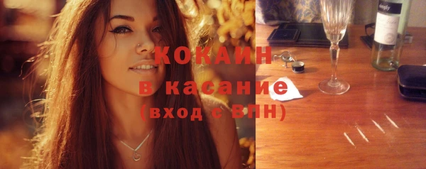 шишки Коряжма