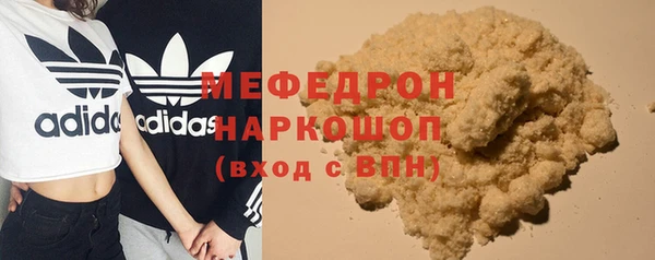 шишки Коряжма