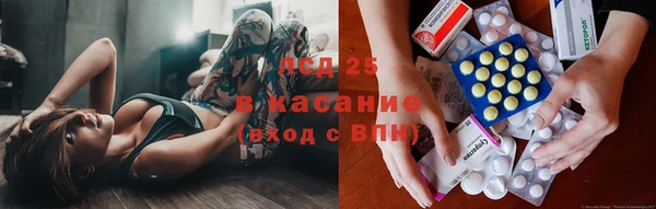 дмт Костерёво