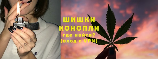 шишки Коряжма