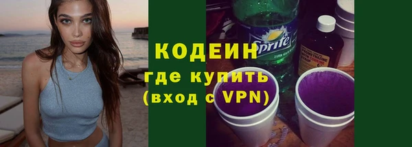 шишки Коряжма