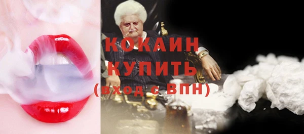 шишки Коряжма
