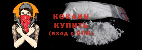 дмт Костерёво