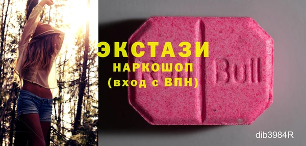 шишки Коряжма