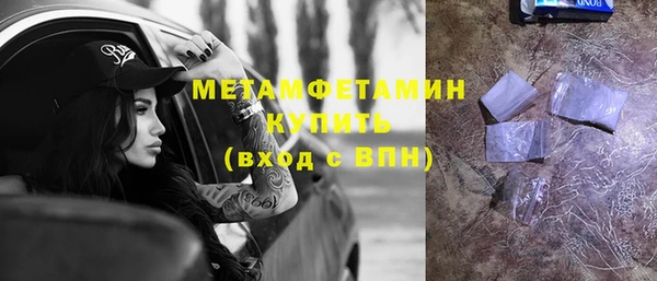шишки Коряжма