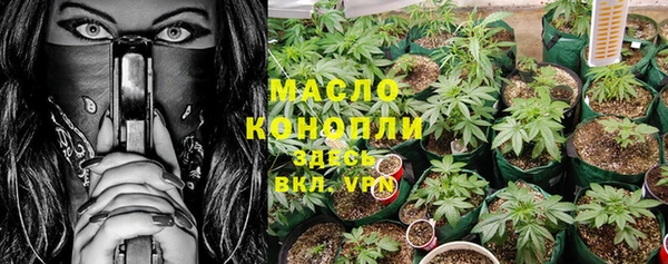 шишки Коряжма