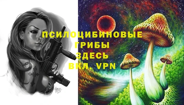 шишки Коряжма