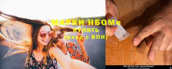 шишки Коряжма