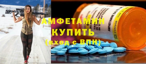 шишки Коряжма
