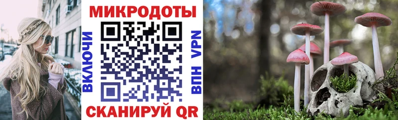 Псилоцибиновые грибы Psilocybine cubensis  Купить где  Светлогорск 